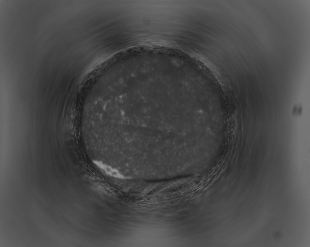 X0000095510919200801041156