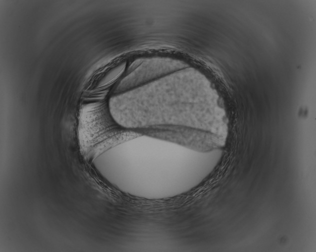 X0000095510920200801041156