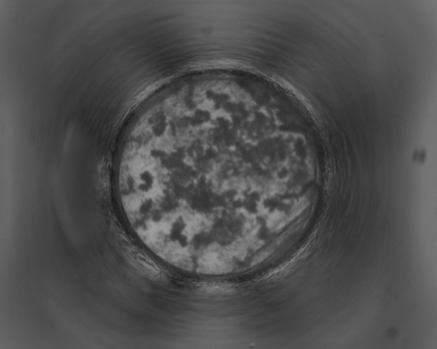 X0000095510921200801041156