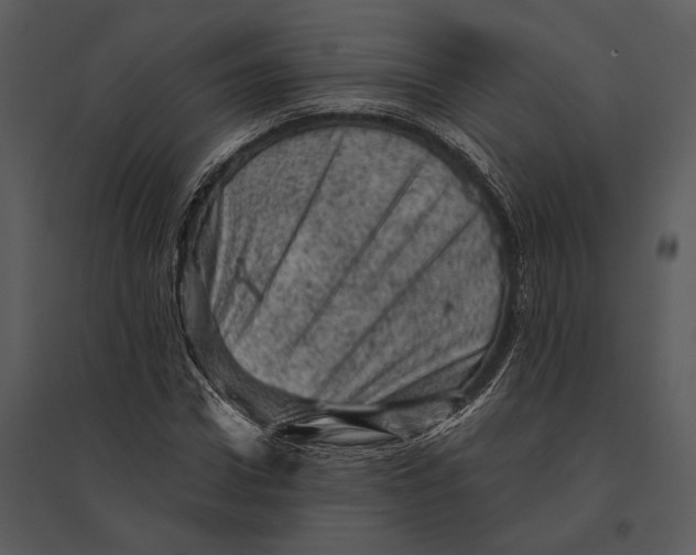 X0000095510922200801041156