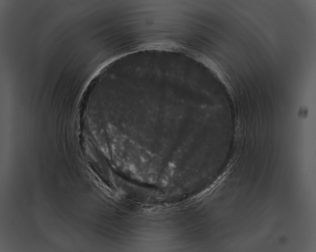 X0000095510923200801041156