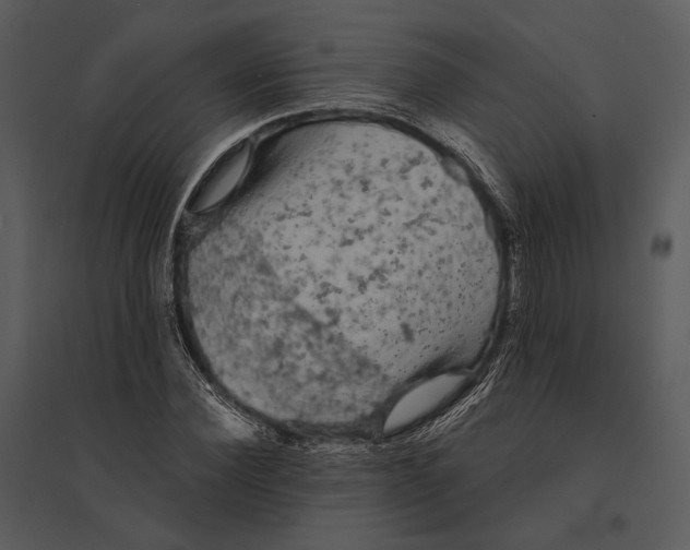 X0000095510924200801041156