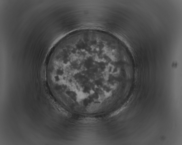 X0000095510925200801041156
