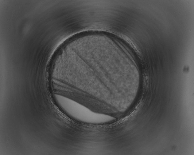 X0000095510926200801041156