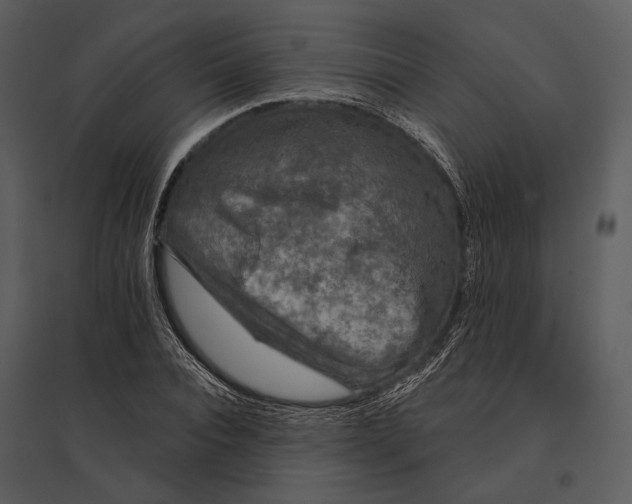 X0000095510928200801041157
