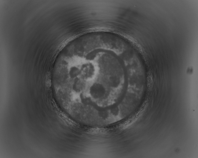 X0000095510929200801041157
