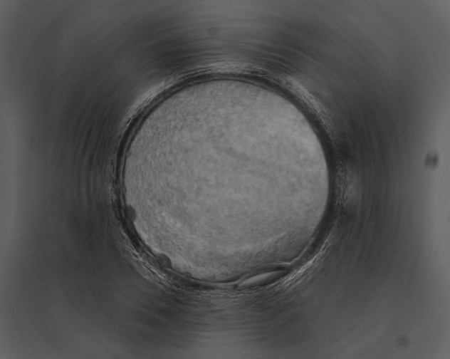 X0000095510930200801041157