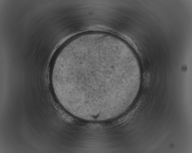 X0000095510931200801041157