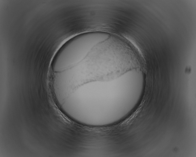 X0000095510932200801041157