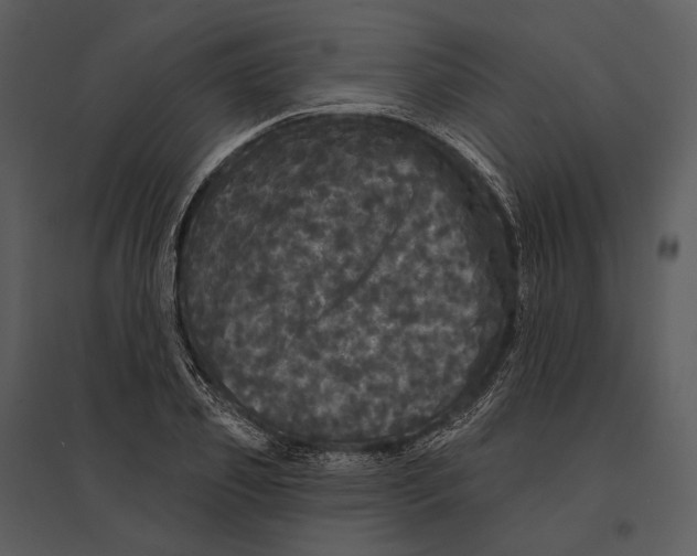 X0000095510933200801041157