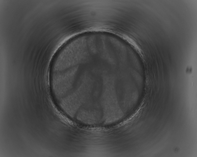 X0000095510934200801041157