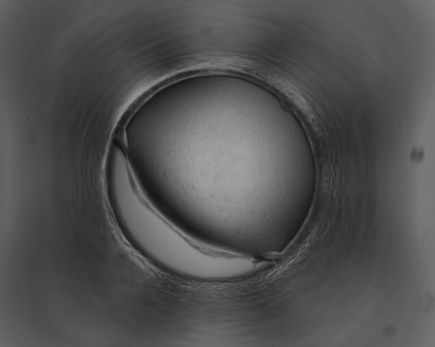 X0000095510936200801041157