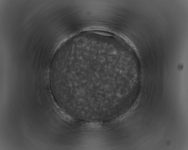 X0000095510937200801041157