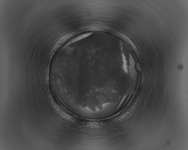 X0000095510938200801041157