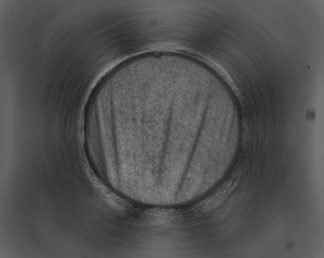 X0000095510939200801041157