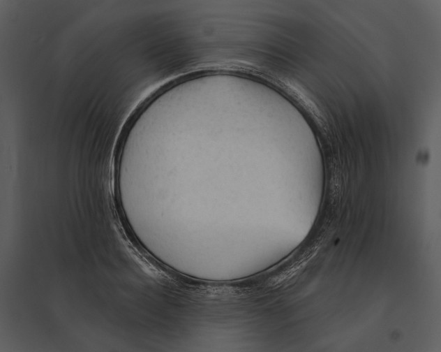 X0000095510940200801041157