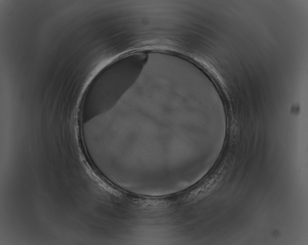 X0000095510941200801041157