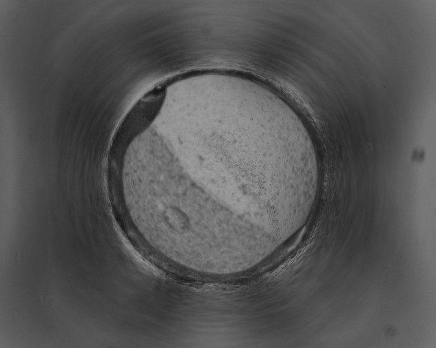 X0000095510942200801041157