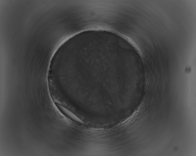 X0000095510943200801041157