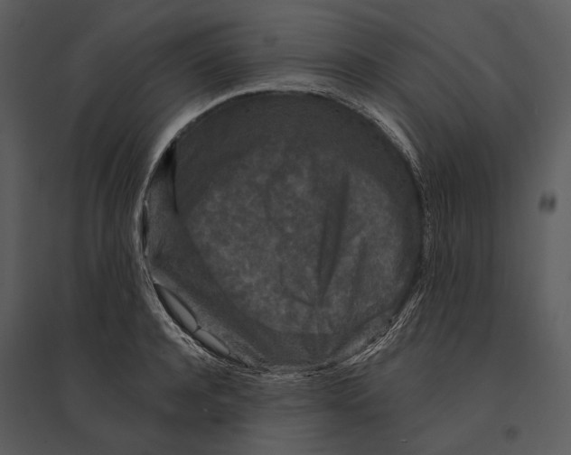 X0000095510944200801041157