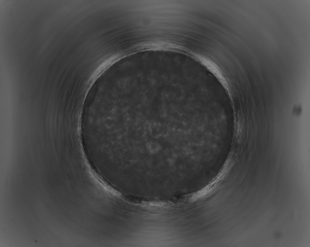 X0000095510946200801041157