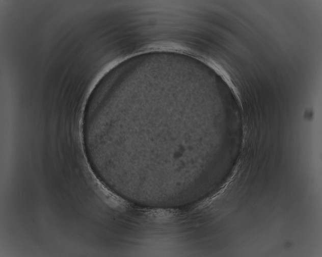 X0000095510947200801041157