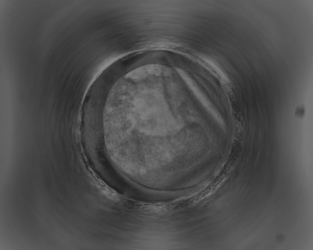 X0000095510948200801041157