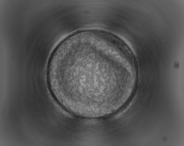 X0000095510949200801041157
