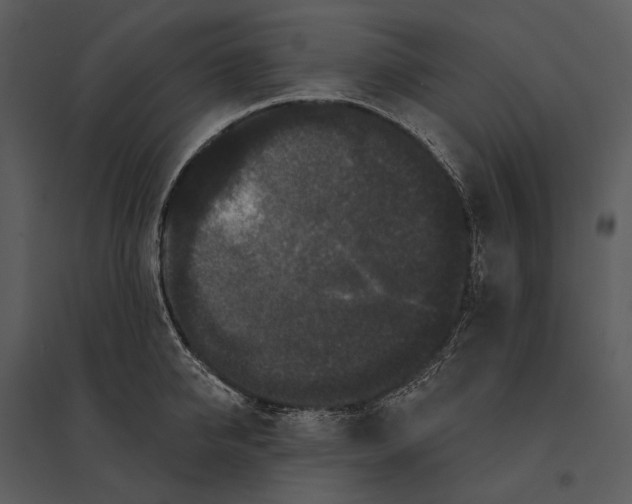 X0000095510950200801041157