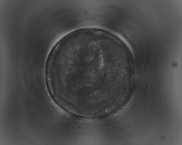 X0000095510951200801041157