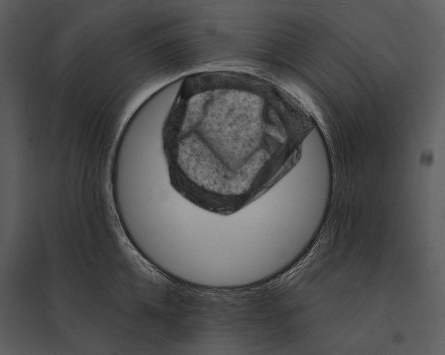 X0000095510952200801041157