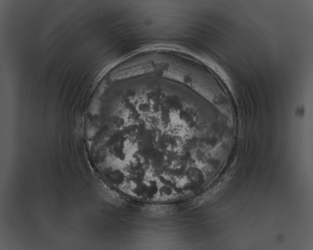 X0000095510953200801041157