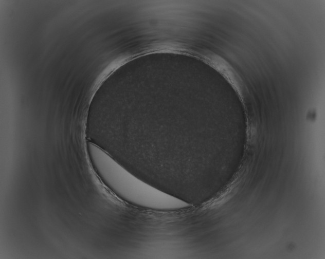 X0000095510954200801041157