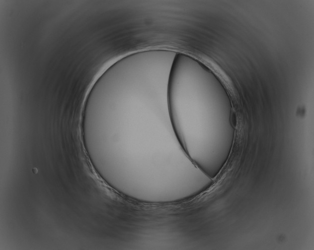 X0000095510956200801041157