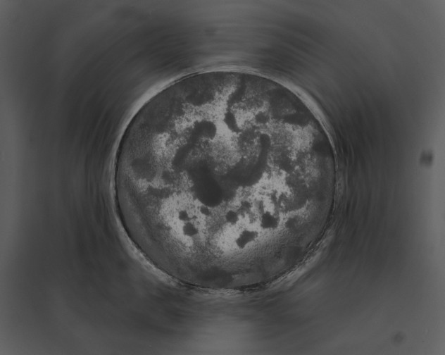 X0000095510957200801041157
