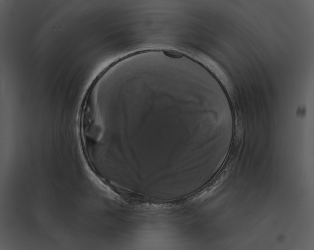 X0000095510958200801041157