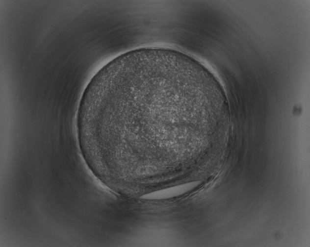 X0000095510959200801041157