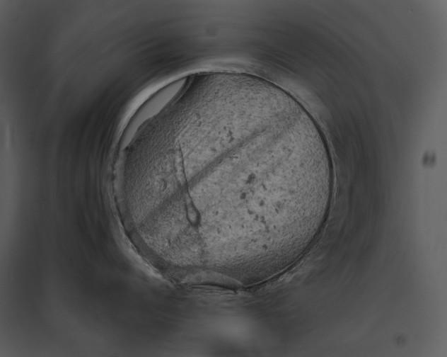 X0000095510960200801041157