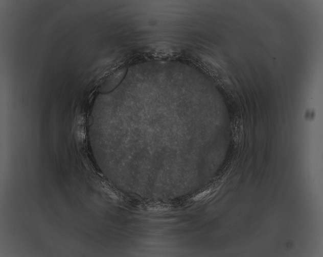 X0000095510962200801041156