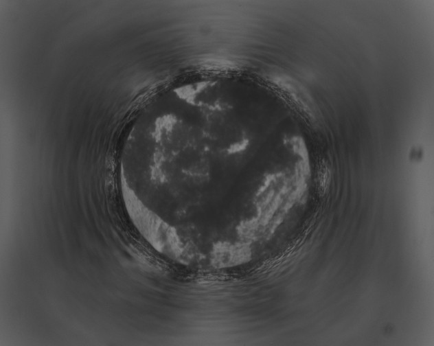 X0000095510964200801041156