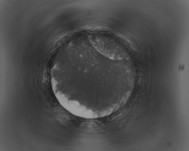 X0000095510966200801041156
