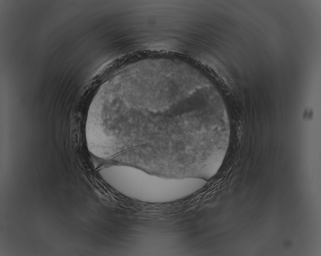 X0000095510968200801041156