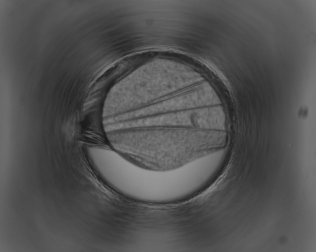 X0000095510969200801041156