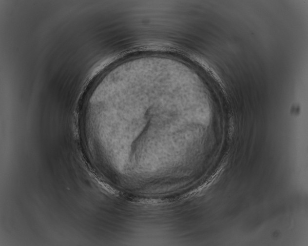 X0000095510970200801041156