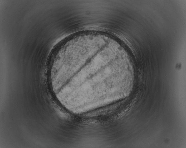 X0000095510971200801041156