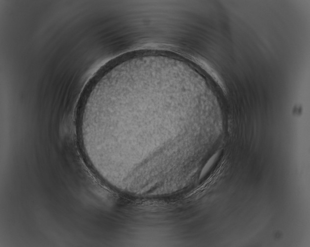 X0000095510972200801041156