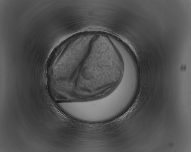 X0000095510973200801041156