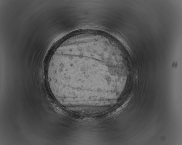 X0000095510974200801041156