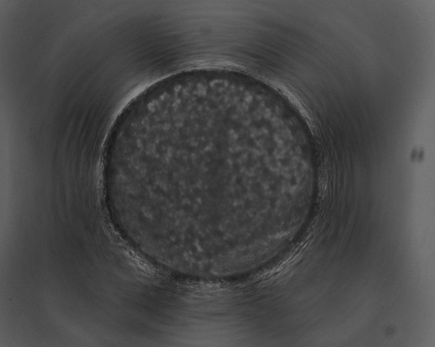 X0000095510975200801041156