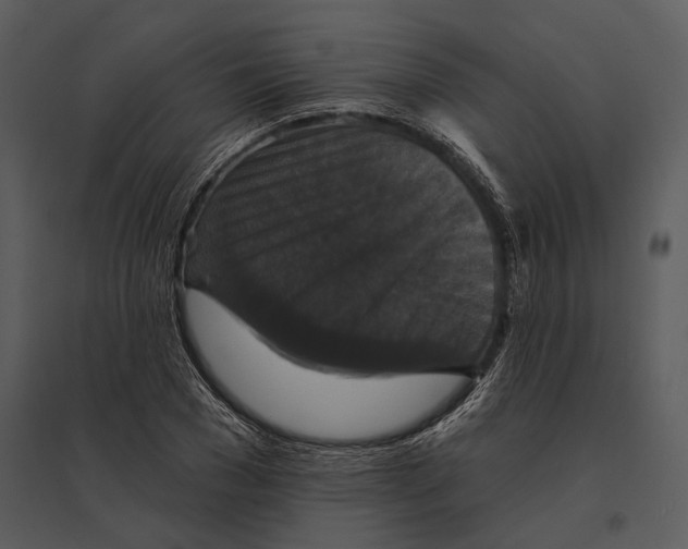 X0000095510977200801041156